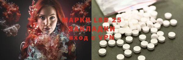 индика Алексеевка