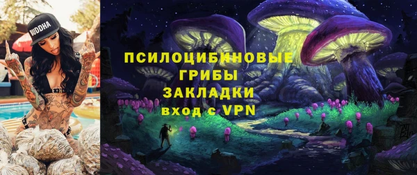 PSILOCYBIN Алексин