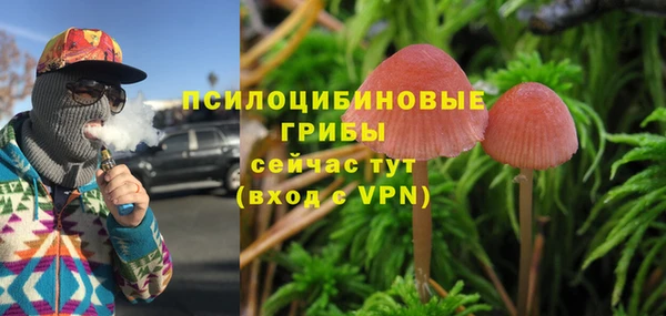 индика Алексеевка