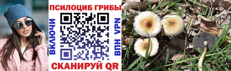 площадка клад цены наркотик Коркино Галлюциногенные грибы Psilocybe