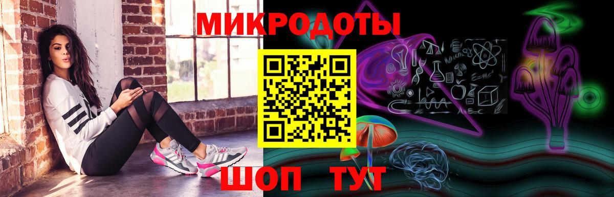 Псилоцибиновые грибы Psilocybine cubensis Коркино