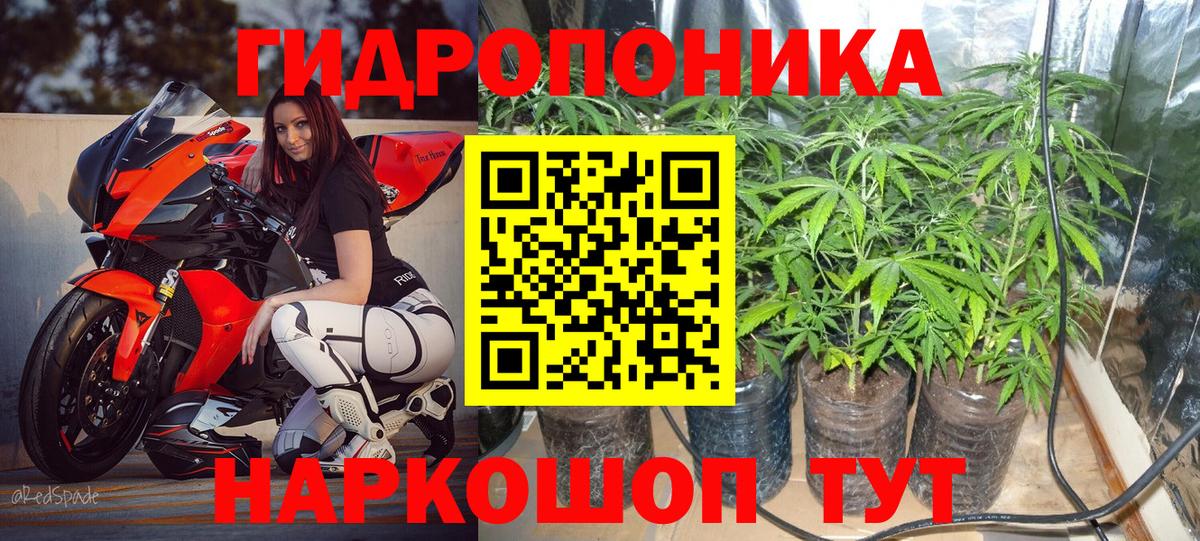 Канабис план  Вход с VPN  Коркино  Конопля планчик  Марихуана гибрид  МАРИХУАНА AK-47 